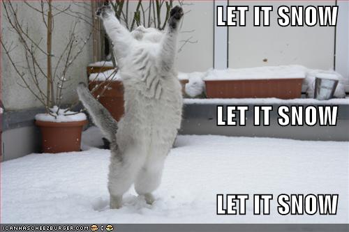 http://www.wow-pro.com/files/funny-pictures-cat-is-excited-about-snow.jpg