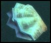 37.11-clam.jpg