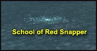redsnapper.jpg